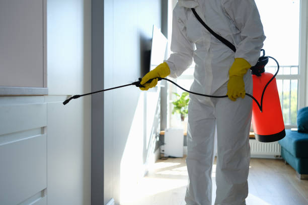 Best Mold Damage Repair  in Poway, CA