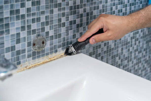 Best Mold Testing and Removal  in Poway, CA