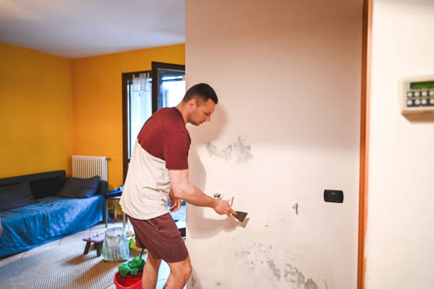 Best Fast Mold Removal  in Poway, CA