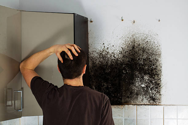 Best Crawl Space Mold Removal  in Poway, CA