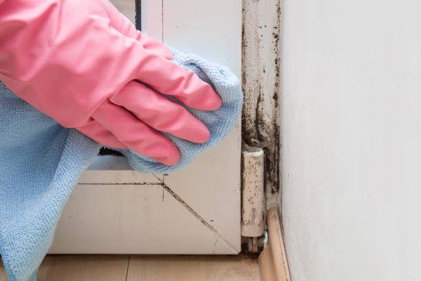 Best Mold Testing  in Poway, CA